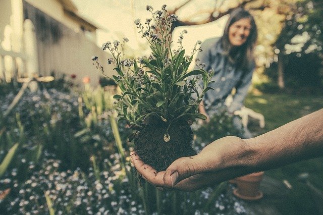 La Ecología y El Factor Humano